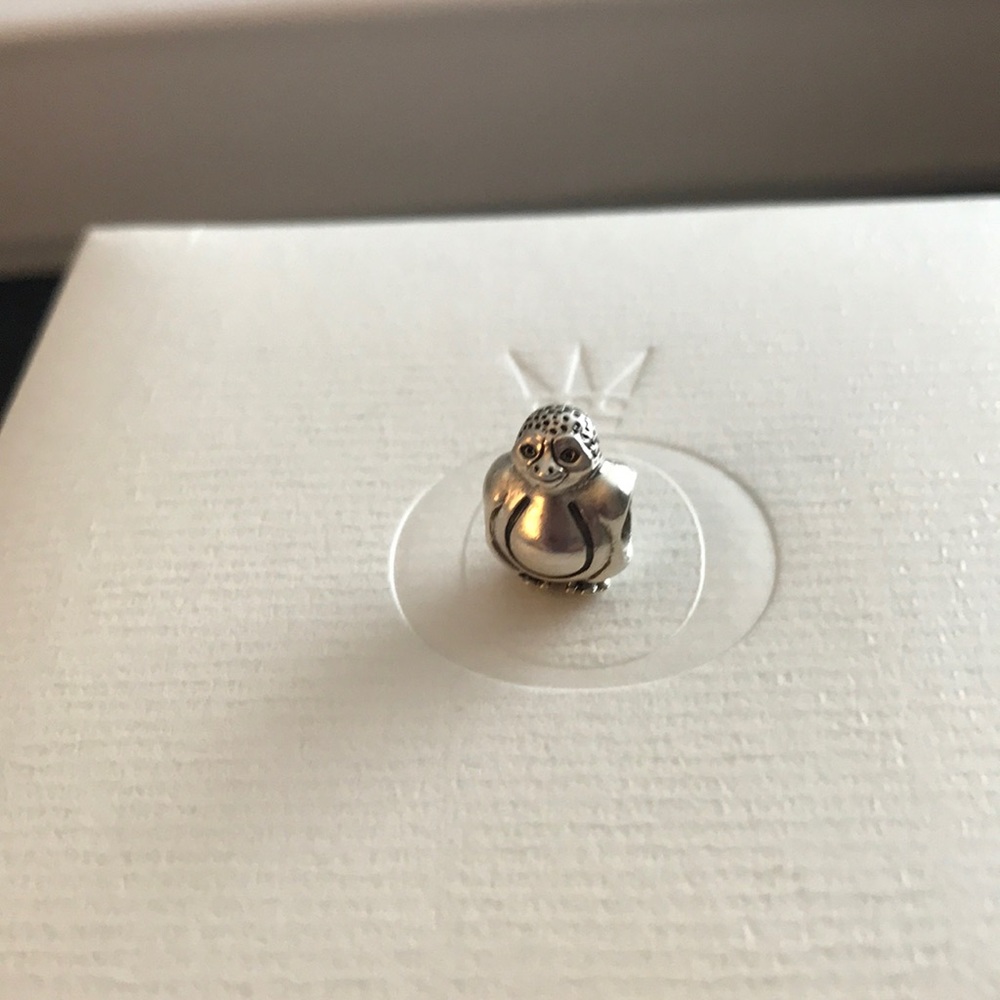 Pandora Charm